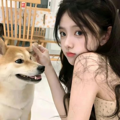爱的着陆